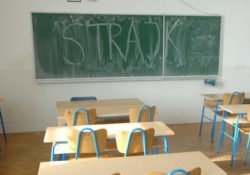 Штрајк у Сремској Митровици због напада на директора школе „Јован Јовановић Змај“