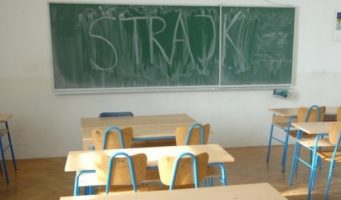 Штрајк у Сремској Митровици због напада на директора школе „Јован Јовановић Змај“